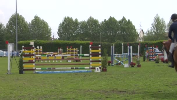 Een paard en ruiter in actie — Stockvideo