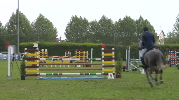 Een paard en ruiter in actie — Stockvideo