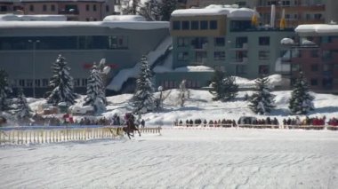 Dolarını üzerinde beyaz Turfin Sankt Moritz Avrupa Şampiyonası