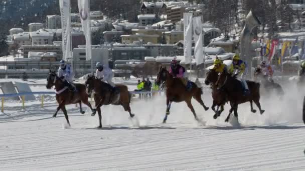 Το Ευρωπαϊκό πρωτάθλημα της διεξαγωγής ιπποδρομιών στο λευκό Turfin Σάνκτ Μόριτζ — Αρχείο Βίντεο