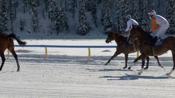 EM i kapplöpning om vit Turfin Sankt Moritz — Stockvideo