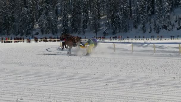 El Campeonato Europeo de Caza de Caballo en el Turfin Blanco Sankt Moritz — Vídeos de Stock