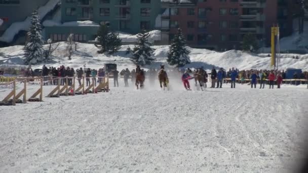 Het Europees kampioenschap van paardenrennen op de witte Turfin Sankt Moritz — Stockvideo