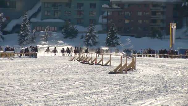 O Campeonato Europeu de Cavalaria no Turfin Branco Sankt Moritz — Vídeo de Stock