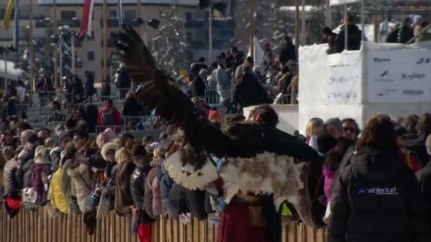 El Campeonato Europeo de Caza de Caballo en el Turfin Blanco Sankt Moritz — Vídeos de Stock