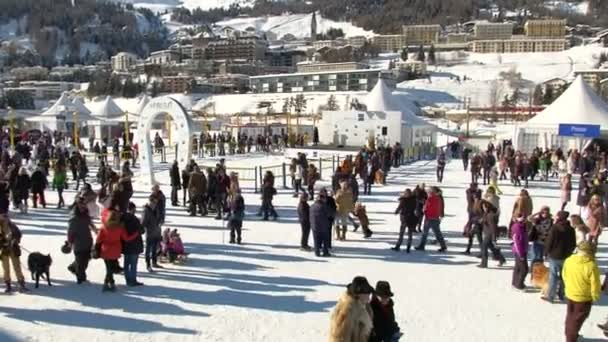 Dolarını üzerinde beyaz Turfin Sankt Moritz Avrupa Şampiyonası — Stok video