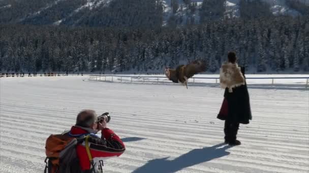 EM i kapplöpning om vit Turfin Sankt Moritz — Stockvideo