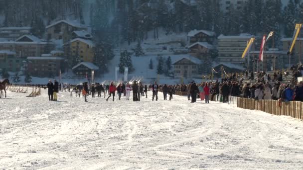 Mistrzostwa Europy w wyścigi konne na biały Turfin Sankt Moritz — Wideo stockowe