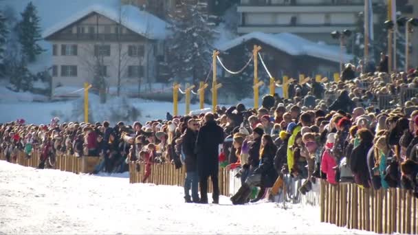 Mistrzostwa Europy w wyścigi konne na biały Turfin Sankt Moritz — Wideo stockowe