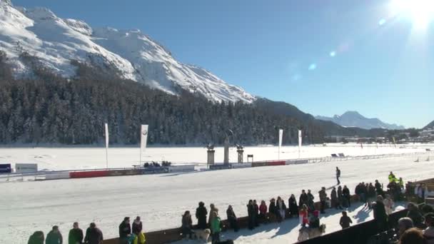 EM i kapplöpning om vit Turfin Sankt Moritz — Stockvideo