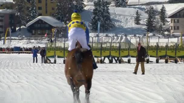 Kejuaraan Penunggang Kuda Eropa di Turfin Putih Sankt Moritz — Stok Video