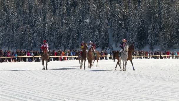 Mistrovství Evropy v dostihových na bílé Turfin Sankt Moritz — Stock video