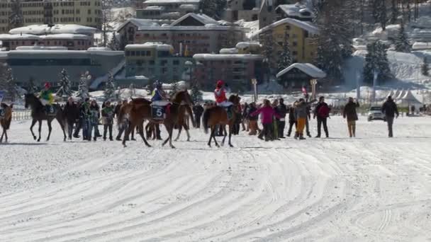 El Campeonato Europeo de Caza de Caballo en el Turfin Blanco Sankt Moritz — Vídeo de stock