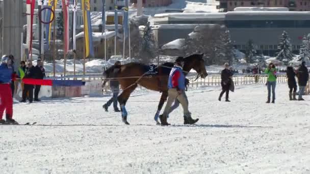 Mistrzostwa Europy w wyścigi konne na biały Turfin Sankt Moritz — Wideo stockowe