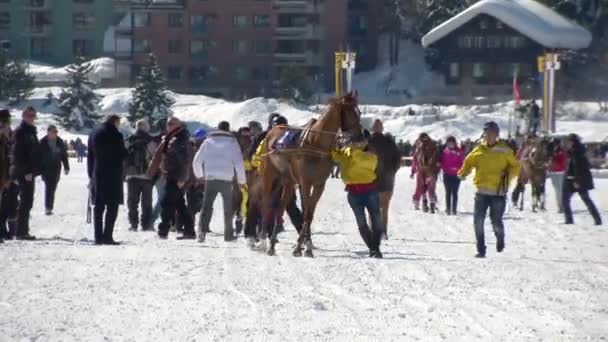 Il Campionato Europeo di Equitazione sulla Turfin Bianca Sankt Moritz — Video Stock