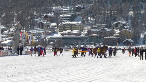 Dolarını üzerinde beyaz Turfin Sankt Moritz Avrupa Şampiyonası — Stok video