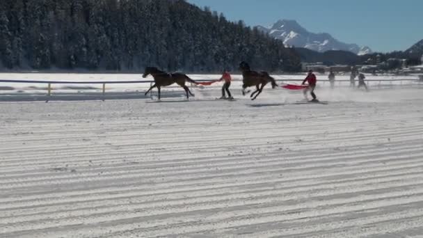 The European Championship of horserace on the White Turfin Sankt Moritz — Stock Video