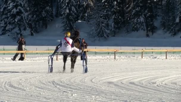 O Campeonato Europeu de Cavalaria no Turfin Branco Sankt Moritz — Vídeo de Stock