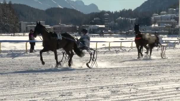 EM i kapplöpning om vit Turfin Sankt Moritz — Stockvideo