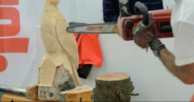 wood sculptor chainsaw