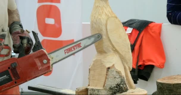 Wood sculptor chainsaw — 비디오