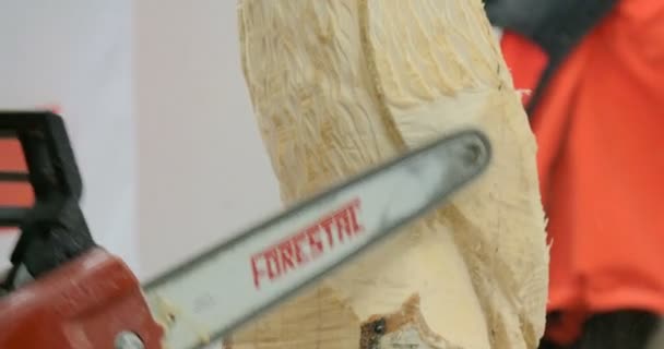 Sculpteur en bois tronçonneuse gros plan — Video