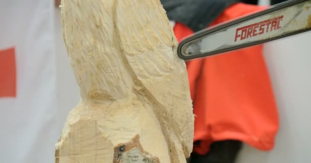 Wood sculptor chainsaw close up — Stockvideo