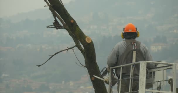 나무 꾼 전기 톱 크레인 리프트 — 비디오