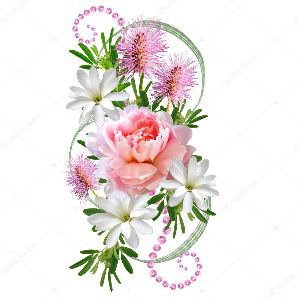 A beautiful bouquet of flowers on a white background.
