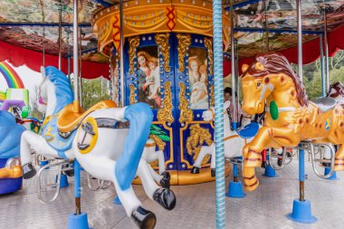 Parktaki atlı karınca.