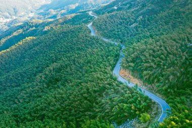 Yazın dağların manzarası