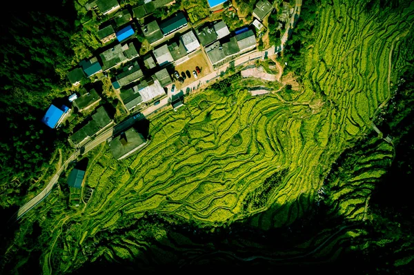 China Asian Terraced Mountains — Fotografia de Stock