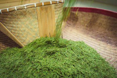 Hasır kepçeli çay yaprakları büyük sepette.