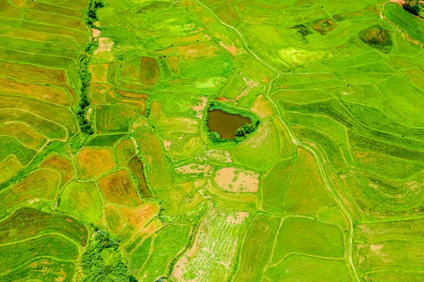 aerial view of chinese agricultural fields