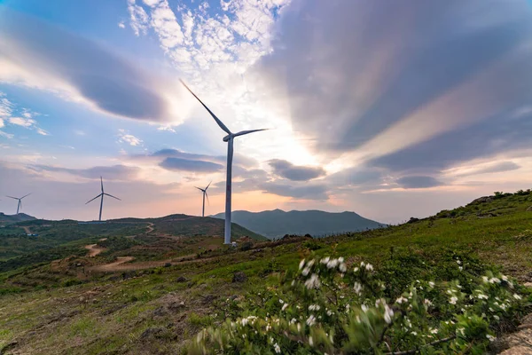 Vackert Landskap Med Väderkvarnar Och Mulen Himmel — Stockfoto