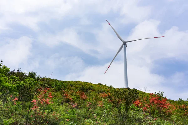 花が咲く緑の丘の風車 — ストック写真
