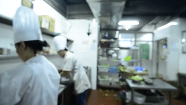 Motion chefs of a restaurant kitchen — Stock Video