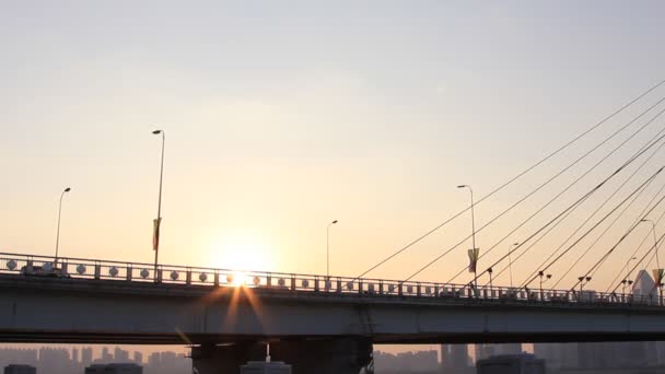 Nachtansicht der Brücke und der Stadt in Shanghai China — Stockvideo