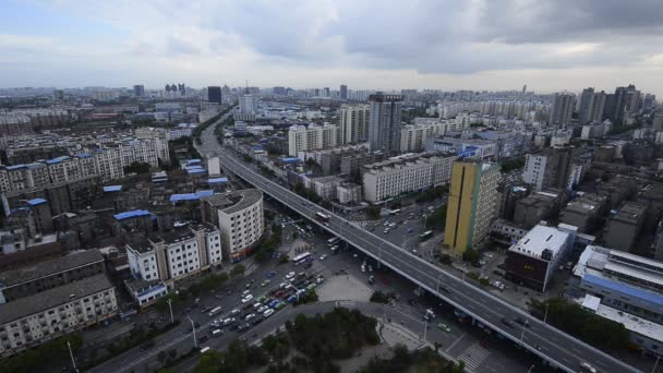 Şangay 'daki köprü ve şehir gece görüşü — Stok video