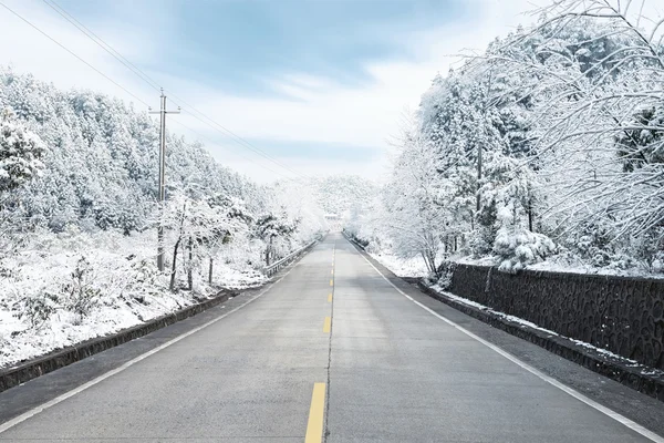 Snowy orman güneşli bir kış yolda — Stok fotoğraf