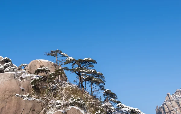 Kış kar, dağ manzarası — Stok fotoğraf