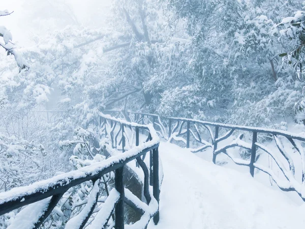 La neige d'hiver, les paysages de montagne — Photo