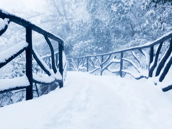 La nieve invernal, el paisaje montañoso —  Fotos de Stock