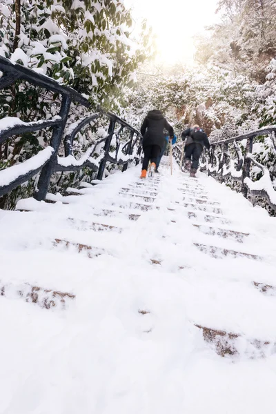 La neve invernale, il paesaggio montano — Foto Stock