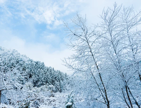 La nieve invernal, el paisaje montañoso — Foto de Stock