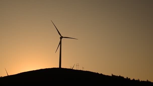 Les éoliennes à la campagne le soir — Video