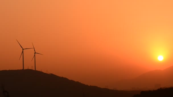 Les éoliennes à la campagne le soir — Video