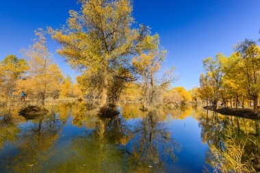 İç Moğolistan, Çin Popüler coşkusu