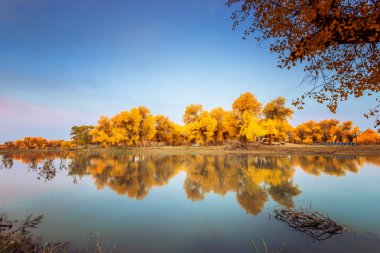 İç Moğolistan, Çin Popüler coşkusu