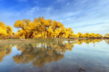 İç Moğolistan, Çin Popüler coşkusu